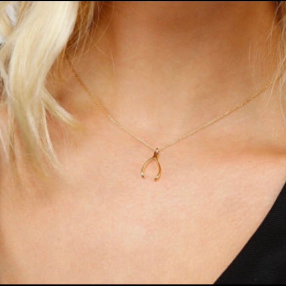 Dainty Wishbone Necklace